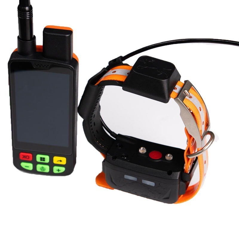 Coleiras GPS para Caça Beagle  - Pet Supplies Distributor avaliação e preço